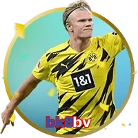 bk8bv