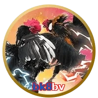 bk8bv