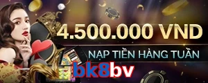 bk8bv
