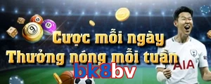 bk8bv